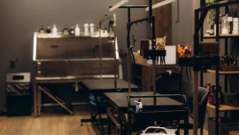 Water Heater Repair: DIY vs. Professional Service