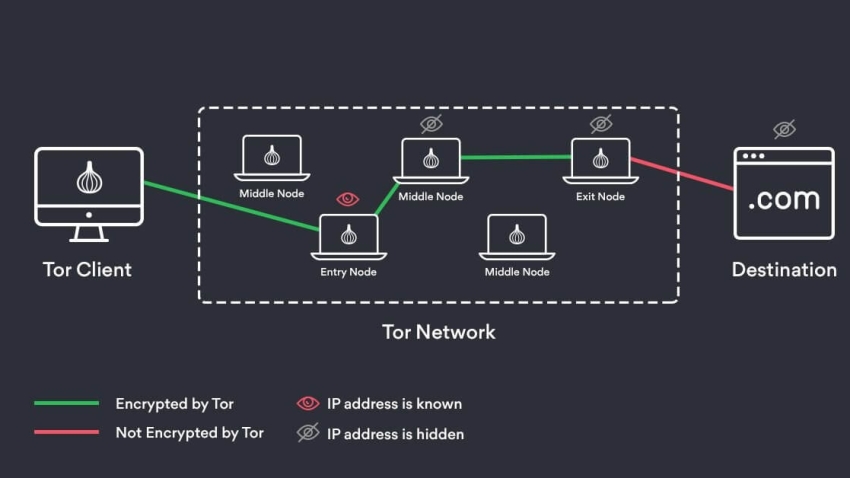 Dark Net Army and Online Network Strategies