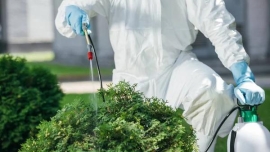 Searching for Pest Control Services Near Me We’ve Got You Covered