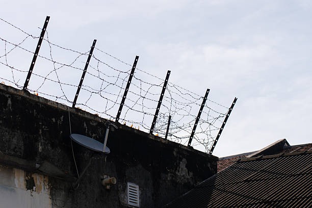 Zaeune im Alltag Vorteile moderner Systeme erklaert