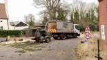 Affordable Tree Removal Services Near Me With Expert Crews