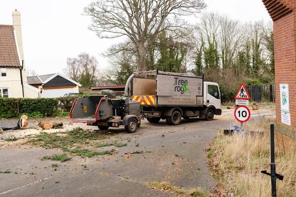 Affordable Tree Removal Services Near Me With Expert Crews