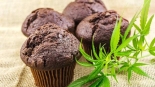 Why Premium Edibles Are the Top Choice Today