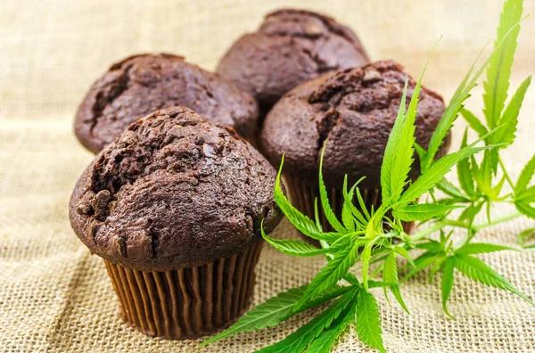 Why Premium Edibles Are the Top Choice Today