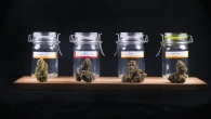 Shopping at a Reliable Dispensary with Confidence