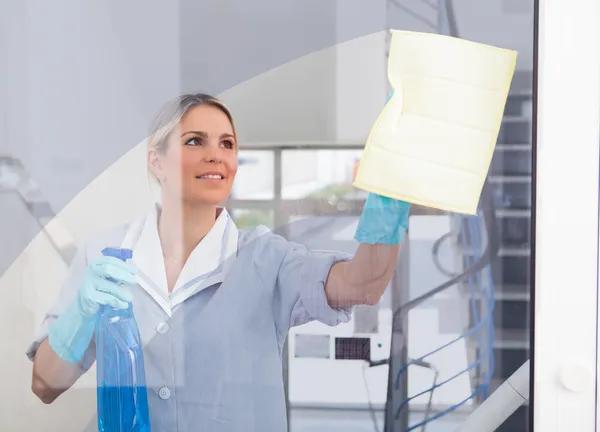 Dependable Window Cleaning Experts in Plano