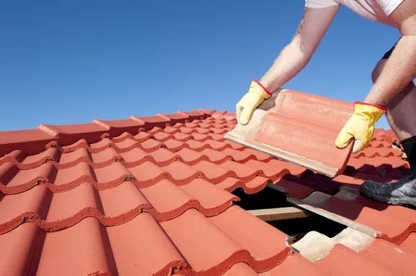 Skilled Roofing Contractor for Repairs and Maintenance