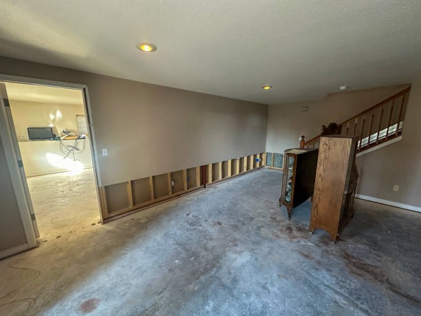 Choose a Trusted Water Damage Restoration Company Near Me for Quality Service