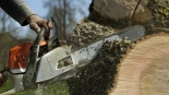 Reliable Tree Service in Springfield IL for Healthy and Safe Trees