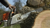 Reliable Tree Service in Springfield IL for Healthy and Safe Trees